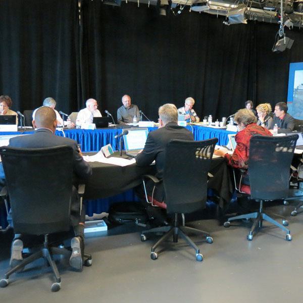 review panel