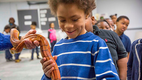 boy holding a snake